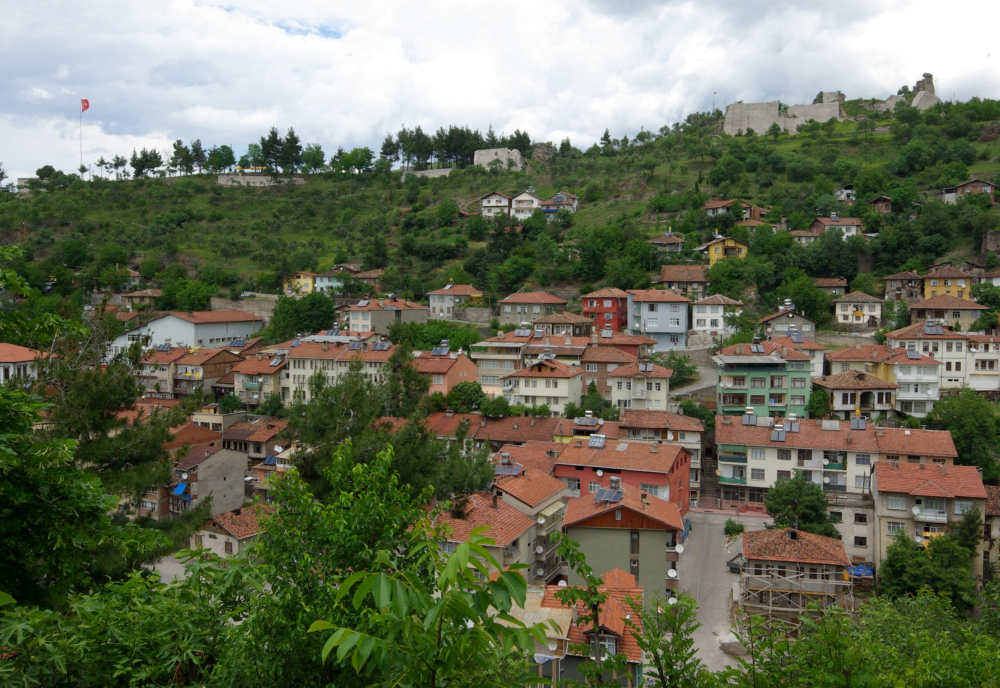 Niksar Kalesi